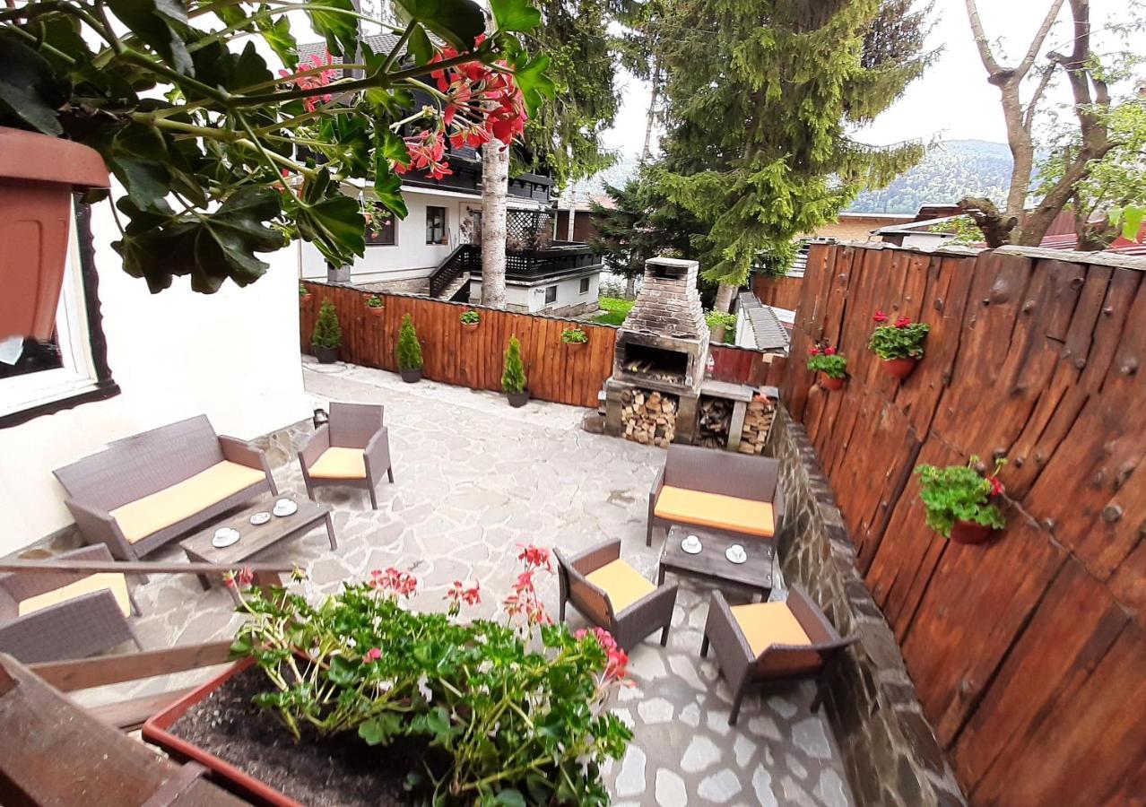 Casa Katalina 2 Hotell Buşteni Exteriör bild